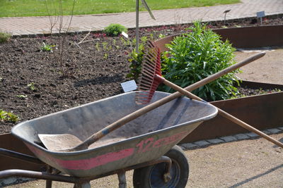 Rake and shovel in wheelbarrow by plant in garden