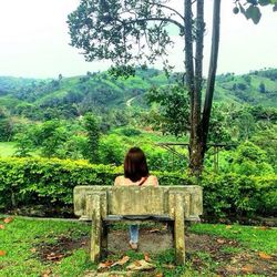 Rear view of man sitting on bench