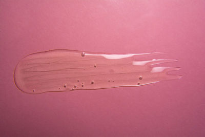 High angle view of pink petals on table