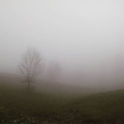 Scenic view of landscape in foggy weather