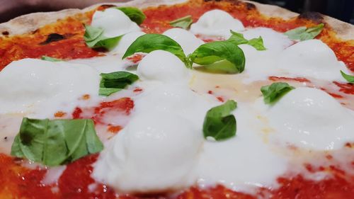 Close-up of food served in plate