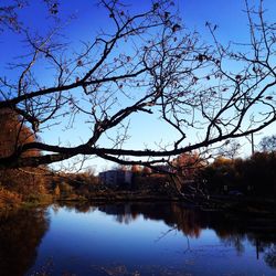 Reflection of trees in lake against sky