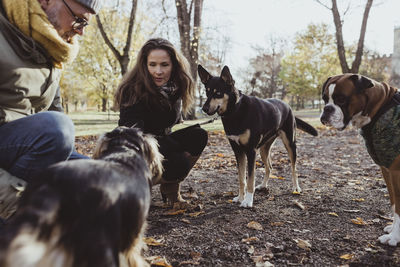 Man and woman crouching by dogs at park