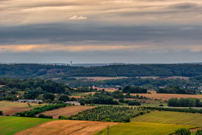 Scenic view of agricultural landscape against sky during sunset