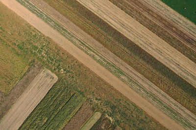 High angle view of agricultural field