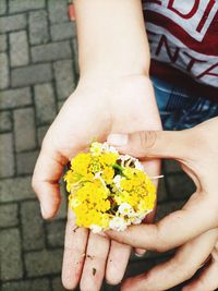 Close-up of hand holding yellow flower