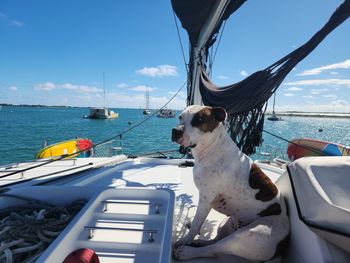 Boat Lifestyle