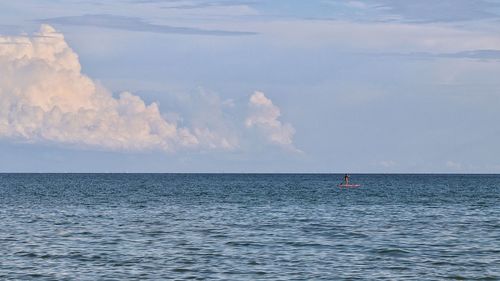 Stand up paddle 