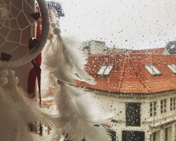 Close-up of wet window in rainy season