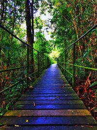 Walkway leading towards trees