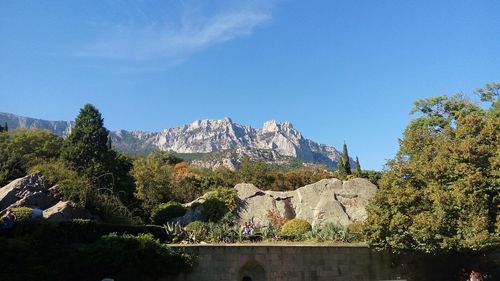 Plants and trees and buildings against clear sky