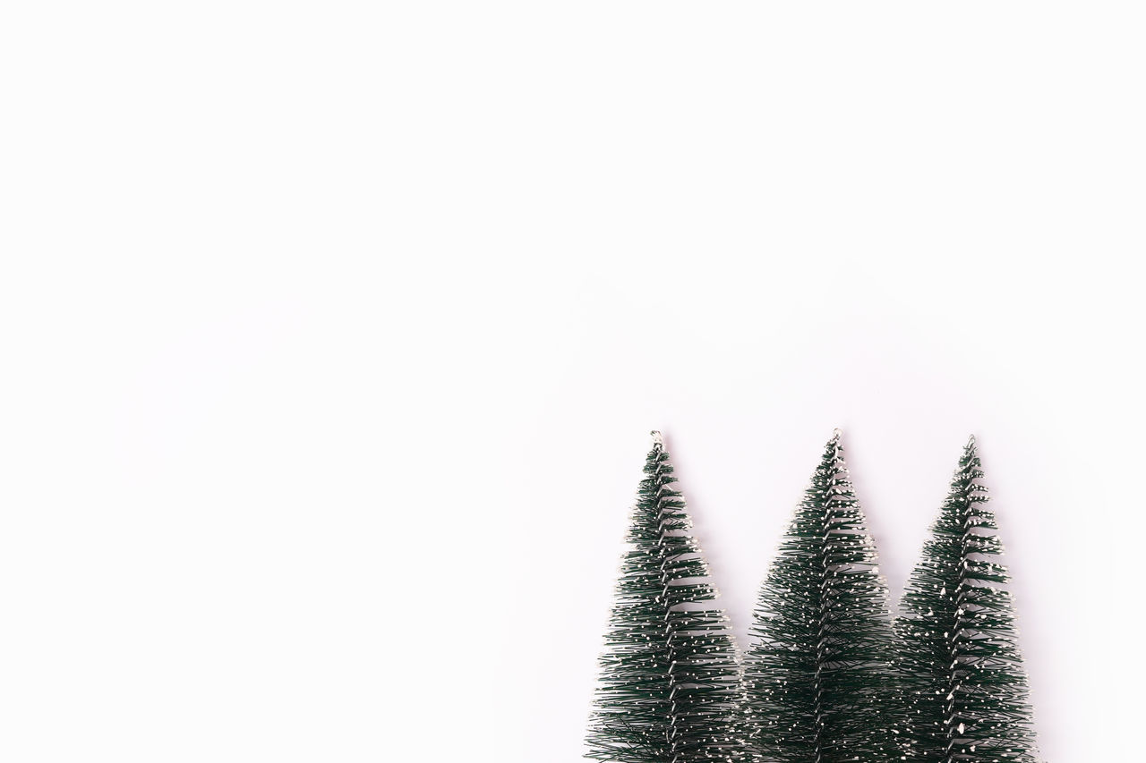 copy space, christmas tree, plant, no people, tree, nature, studio shot, white background, coniferous tree, sky, indoors, growth, pine tree, fir, pinaceae, christmas