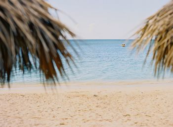 Scenic view of beach against clear sky