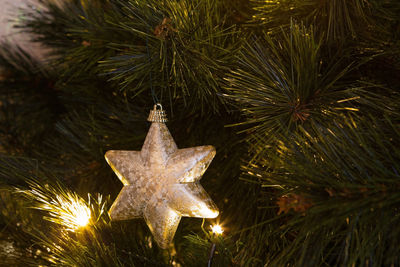 Close-up of christmas tree