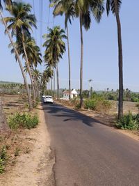 Street amidst palm trees against sky