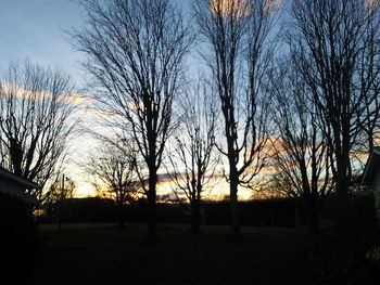 Silhouette bare trees against sky during sunset