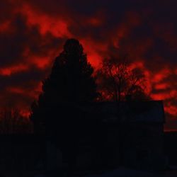 Low angle view of silhouette trees against sky at sunset