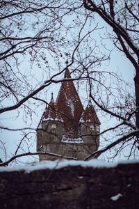 tree