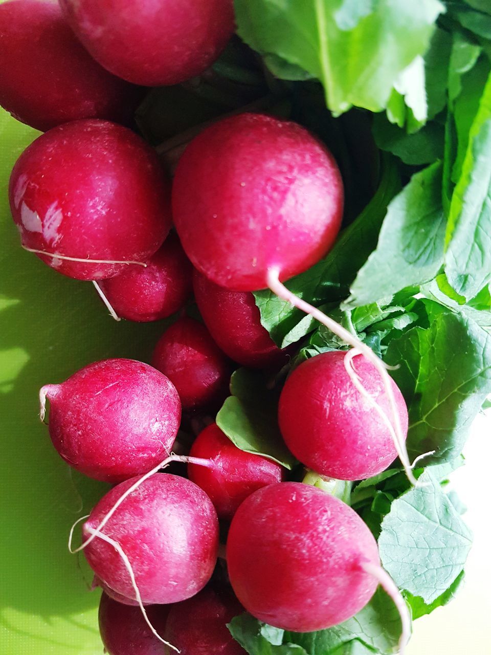 CLOSE-UP OF RED BERRIES