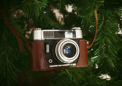 Vintage camera hanging on christmas tree