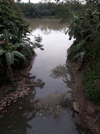 Reflection of trees in lake against sky