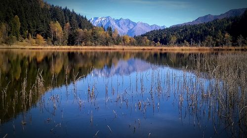 Scenic view of lake in forest against sky