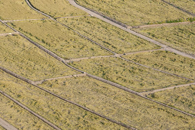 Full frame shot of agricultural field