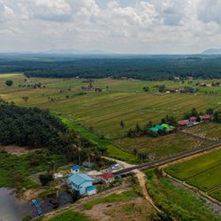 High angle view of agricultural field by houses against sky