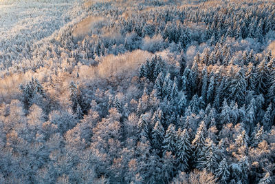 Full frame shot of snow covered landscape