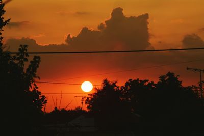 Silhouette trees against sky during sunset