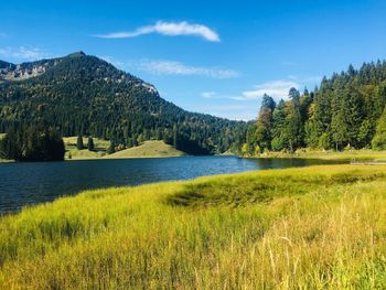 Scenic view of lake and trees against sky