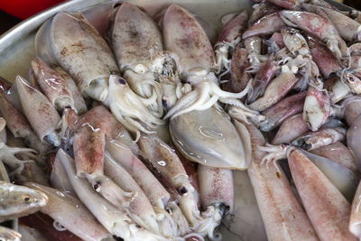 Close-up of fish for sale at market