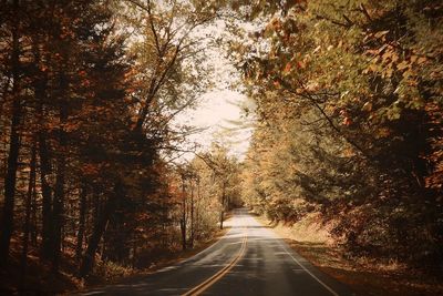 Country road in autumn