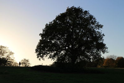 Scenic view of field against clear sky