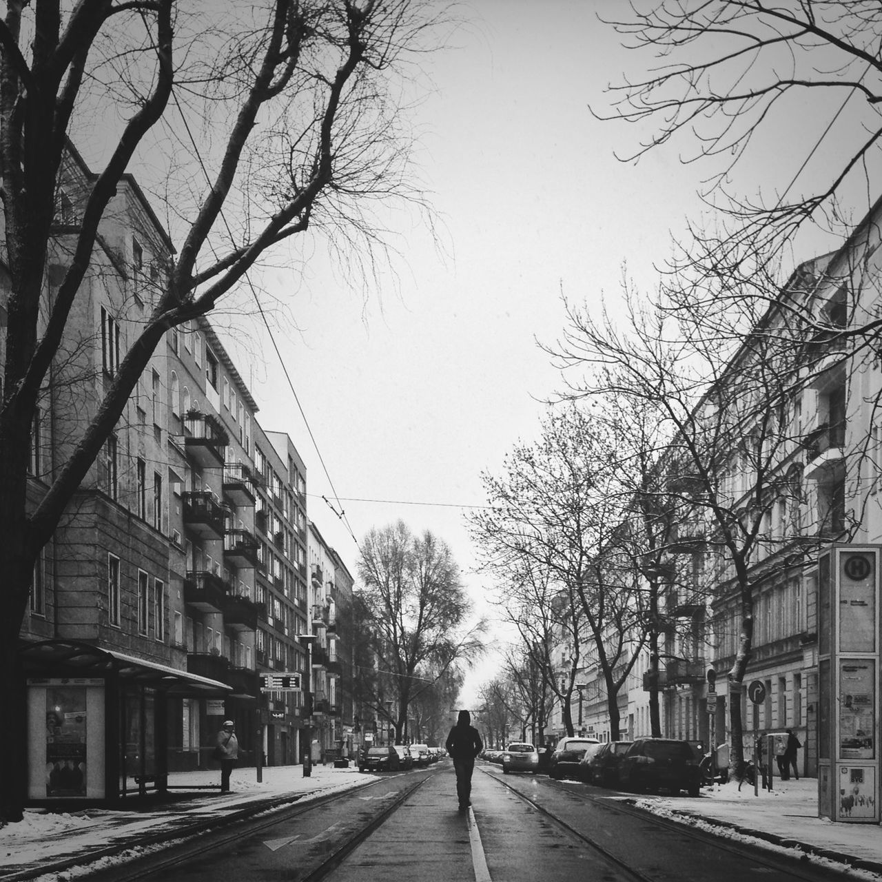 building exterior, architecture, built structure, the way forward, city, street, transportation, tree, walking, road, clear sky, city life, car, diminishing perspective, bare tree, residential structure, residential building, rear view