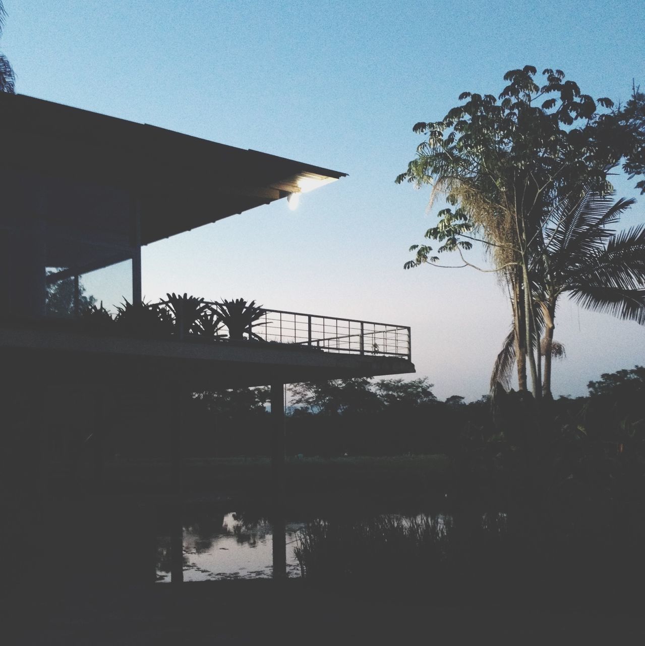 built structure, tree, water, clear sky, architecture, sky, silhouette, sunlight, reflection, nature, river, building exterior, no people, day, low angle view, outdoors, tranquility, blue, growth, railing