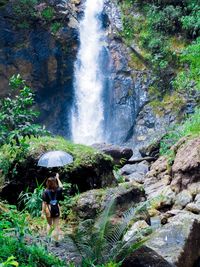 View of waterfall in forest