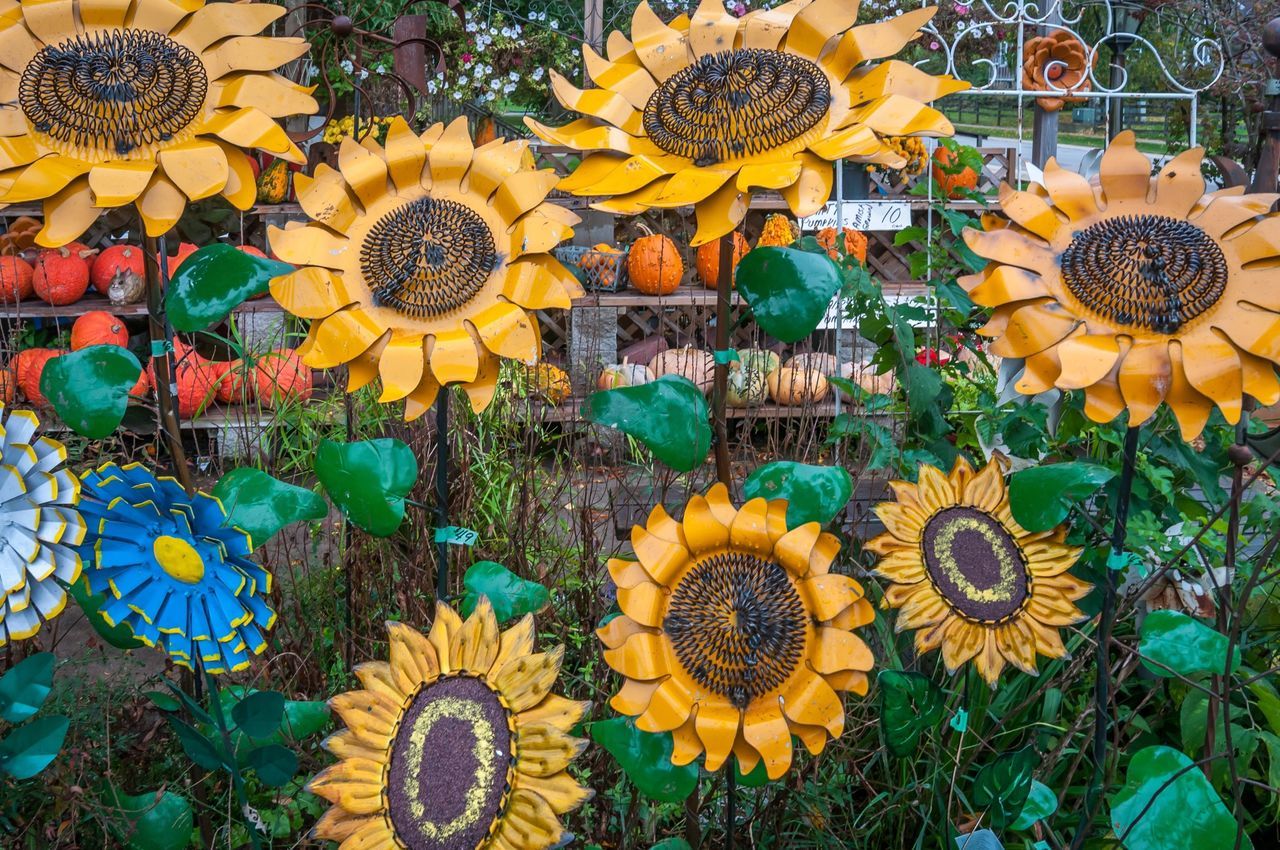 flower, yellow, freshness, growth, plant, abundance, fragility, arrangement, beauty in nature, high angle view, variation, flower head, nature, multi colored, sunflower, decoration, petal, no people, indoors, day