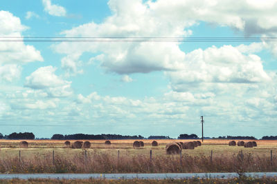 Sheep on field against sky