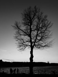 Silhouette bare tree on field against clear sky