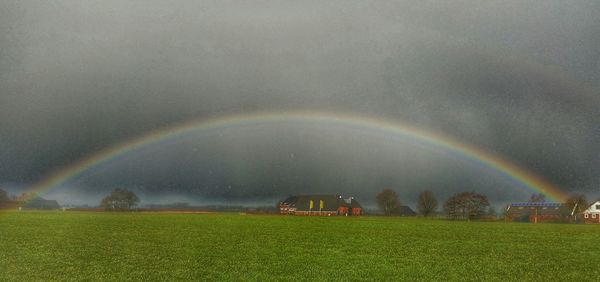 Rainbow over field