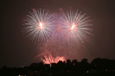 Low angle view of firework display at night