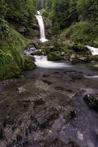 Scenic view of waterfall in forest
