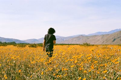 Rear view of man walking on field against sky