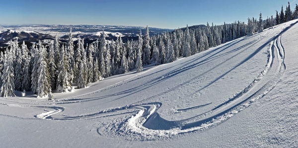 Panorama image of free ride ski and snowboard tracks in powder snow