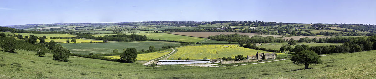 Scenic view of trees on field against sky