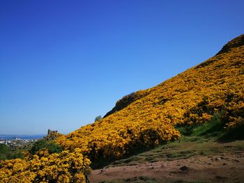 Scenic view of mountains against clear blue sky