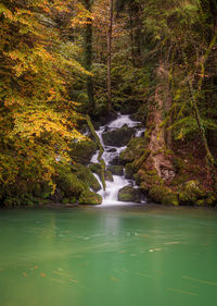 Scenic view of waterfall in forest