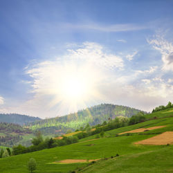 Scenic view of landscape against sky