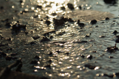 Full frame shot of water